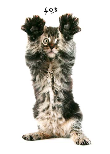 Du kommst hier net rein